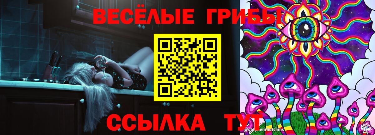 Галлюциногенные грибы MAGIC MUSHROOMS  закладки  Жигулёвск  Вход с VPN  Псилоцибиновые грибы GOLDEN TEACHER 